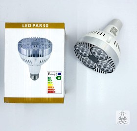 تصویر لامپ cob LED PAR30