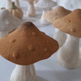 تصویر قارچ - آجری 