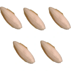 تصویر فروشگاه خانه پرندگان