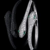 تصویر بنگل سیلور طرح مار 