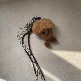 تصویر چارم بگ بلوط 