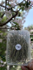 تصویر رزماری 