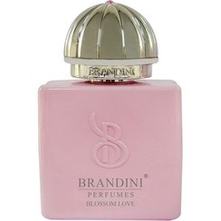 تصویر عطر زنانه بلاسم لاو 33 میل برندینی Brandini Amouage Blossom Love Perfume For Women 33Ml