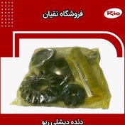 تصویر دنده دیشلی ریو 