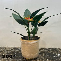 تصویر درختچه مصنوعی پرنده ی بهشتی گل دار 