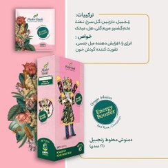 تصویر (فروش اقساط) دمنوش مخلوط زنجبیل (دمنوش انرژی) مهرگیاه 16 عددی ECHIUM MIX