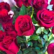 تصویر بذر رز هلندی بسته 10عددی 