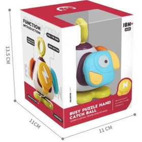 تصویر بیزی بال طوطی 