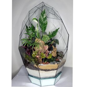 تصویر گیاه طبیعی تراریوم مدل رویال | کد: ZNB-58S 