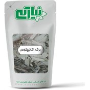 تصویر برگ اکالیپتوس 