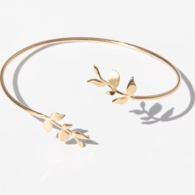 تصویر بنگل برگ زیتون 