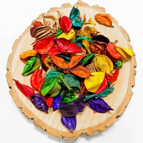 تصویر گلبرگ خشک شده رنگی 