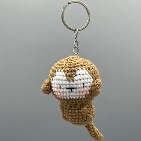 تصویر چارم میمون کوچولو 