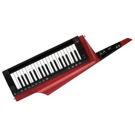 تصویر پیانو RK 100 2 RD اورجینال KORG 