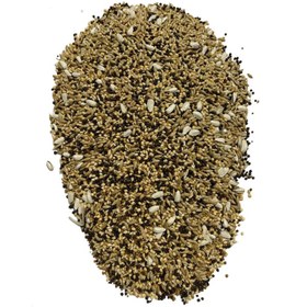 تصویر غذای قناری کد A35 وزن 500 گرم 