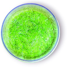 تصویر اکلیل هلوگرامی 