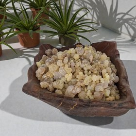 تصویر کندور دودی 