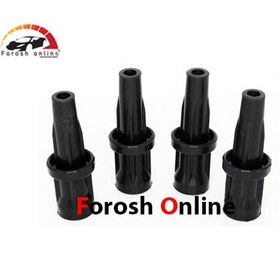 تصویر کوئل رانا 