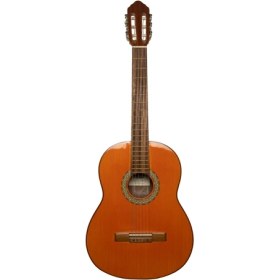 تصویر گیتار کلاسیک بنبرگ BG492 