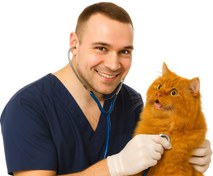 تصویر ویزیت آنلاین دکتر آناویل 