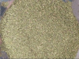 تصویر مرزه اعلا تازه 500گرمی marze