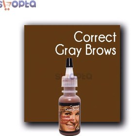 تصویر رنگ کاستوم Gray Brown 