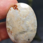 تصویر نگین درشت سنگ صد درصد طبیعی فسیل مرجان اصل معدنی کد 27877 