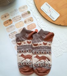 تصویر مچی روباه السوان 