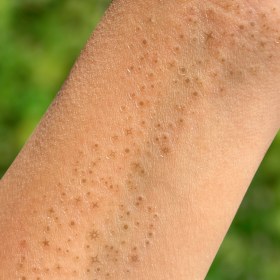 تصویر استیکر کک و مک گلیتری قهوه ای مات 