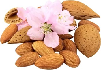 تصویر بادام سنگی یک کیلویی 