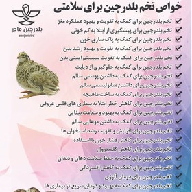 تصویر تخم بلدرچین (مادر) بسته بندی 12 تایی 