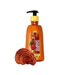 تصویر شامپو گانودرما روزانه دکتر بیز Biz shampoo Ganooderma for daily care