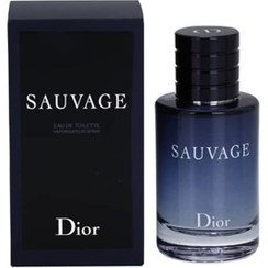 تصویر عطر ادکلن مردانه دیور ساواج ( ساوج ) طرح اصلی ( های کپی ) DIOR SAUVAGE EDT 