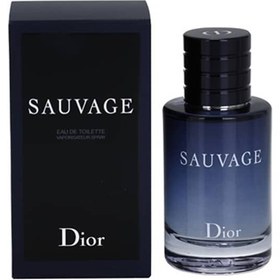 تصویر عطر ادکلن مردانه دیور ساواج ( ساوج ) طرح اصلی ( های کپی ) DIOR SAUVAGE EDT 