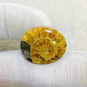 تصویر نگین آمونيت سايز 19*24 ميلی‌متر 