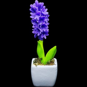 تصویر مجسمه سنبل 