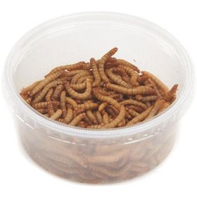 تصویر کرم میل ورم 