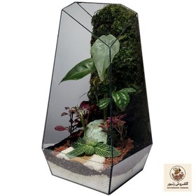 تصویر تراریوم ترارتوس مدل 01 | کد: ZNB-5GT 