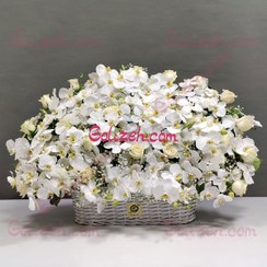 تصویر سبد گل ارکیده 