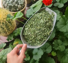 تصویر سبزی کوکو 