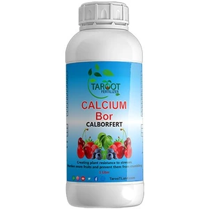 تصویر فروشگاه تاروت لند