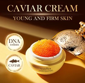 تصویر دیدگاهها 