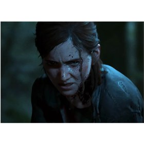 تصویر متال پوستر بازی The Last Of Us طرح شخصیت Ellie کد N205 