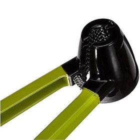 تصویر گردوشکن ایبیلی 