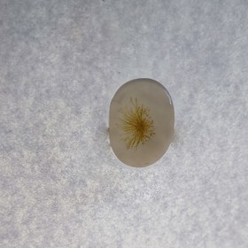 تصویر سنگ شجر کد 40031 