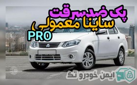 تصویر پک ضد سرقت ساینا معمولی (B) 