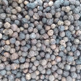 تصویر فلفل سیاه ۶ میل 