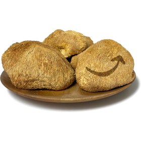 تصویر قارچ یال شیر خشک ۱۰۰ گرمی 