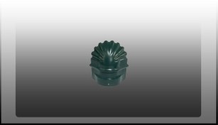 تصویر سرپنجه پرچین سبز یشمی 