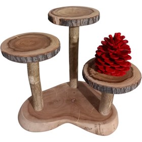 تصویر استند گلدان 